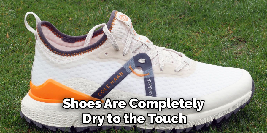 Shoes Are Completely 
Dry to the Touch